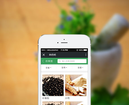 种药吧-中药供需信息发布微信平台|一网天行-网站建设小程序APP系统软件开发公司