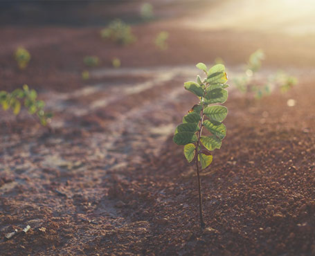 微源生物企业宣传网站|一网天行-网站建设小程序APP系统软件开发公司