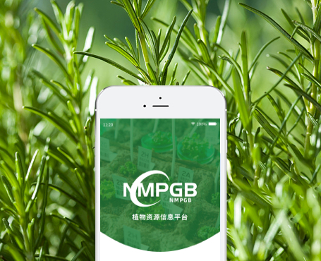 药植所-植物资源信息平台APP|一网天行-网站建设小程序APP系统软件开发公司