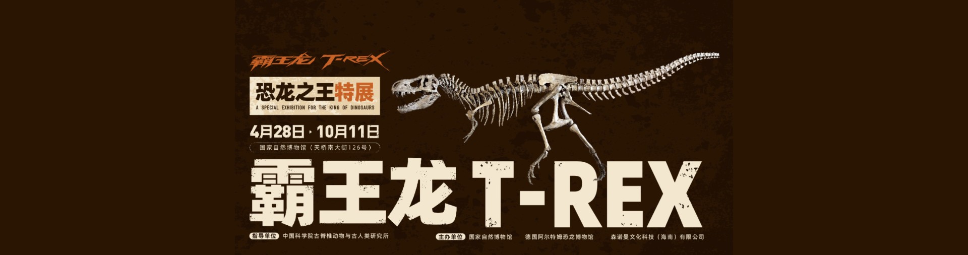 付费讲解小程序|一网天行-网站建设小程序APP系统软件开发公司